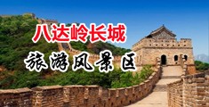 艹逼网站wwwwww中国北京-八达岭长城旅游风景区