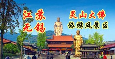 屄B视频江苏无锡灵山大佛旅游风景区