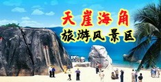 肥婆性视频网站海南三亚-天崖海角旅游风景区